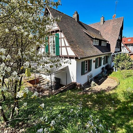 Ferienwohnung Am Keschtebaum, 70Qm Sasbachwalden Luaran gambar