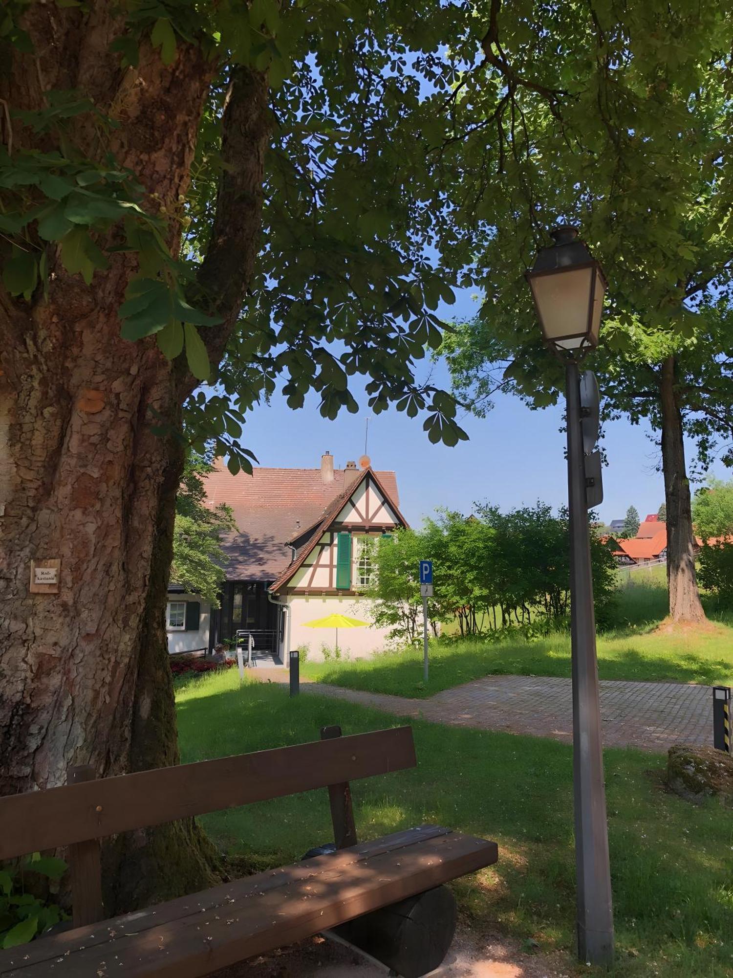 Ferienwohnung Am Keschtebaum, 70Qm Sasbachwalden Luaran gambar